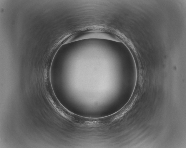 X0000083630057200702121216