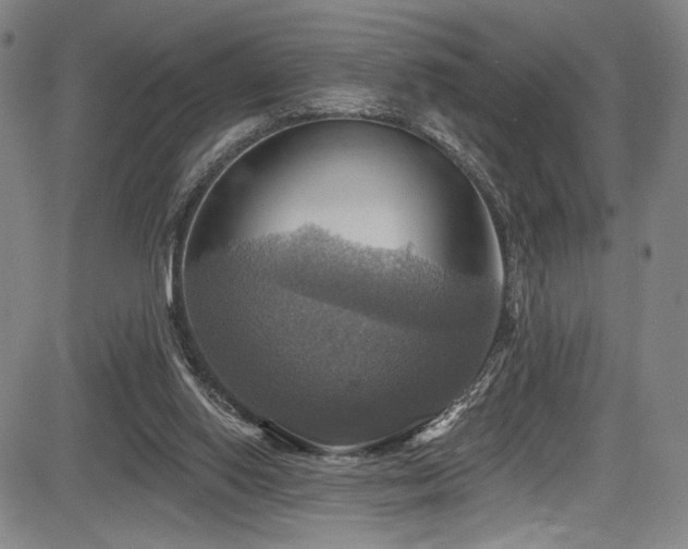 X0000083630062200702121216