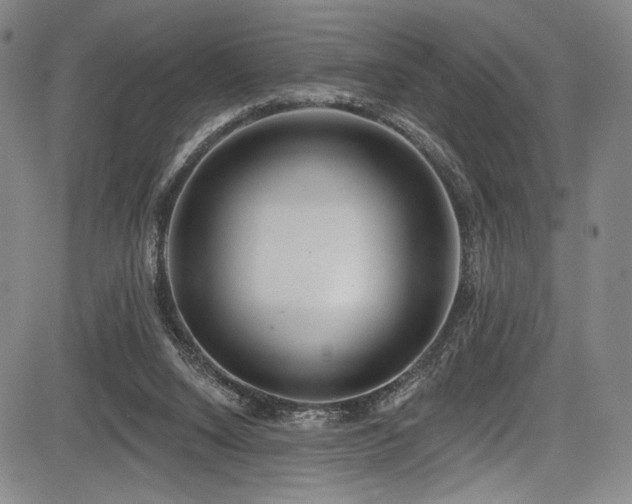 X0000083630064200702121216