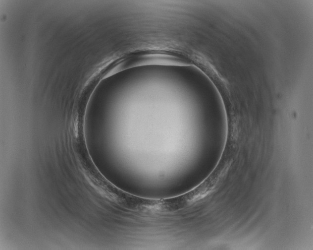 X0000083630068200702121216