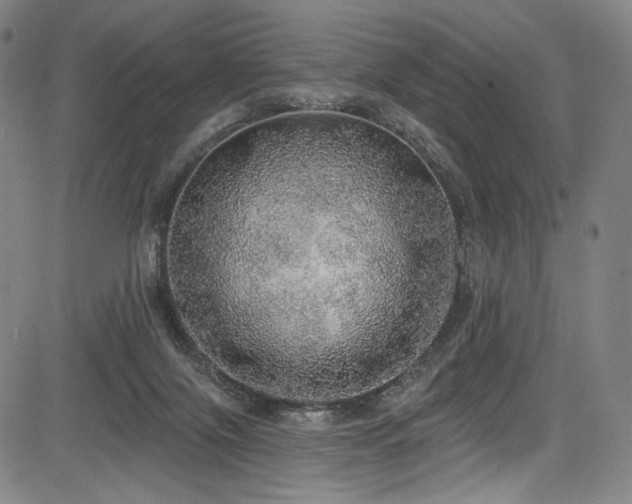 X0000083630071200702121216