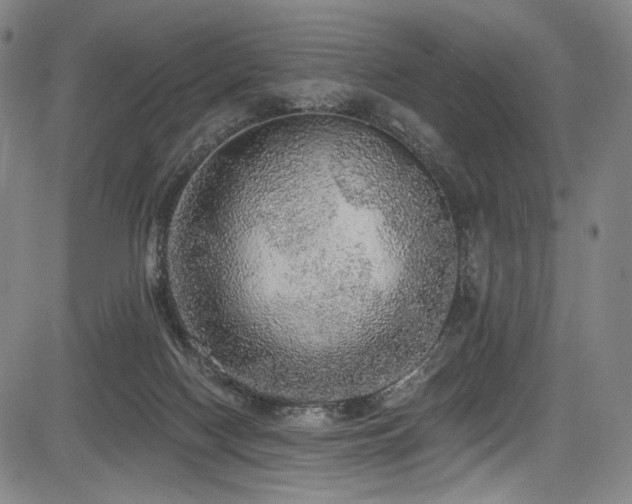 X0000083630074200702121216