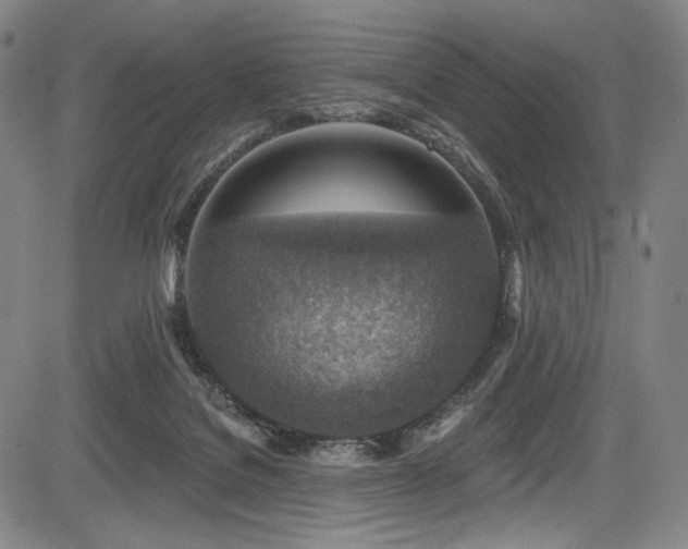 X0000083630076200702121216