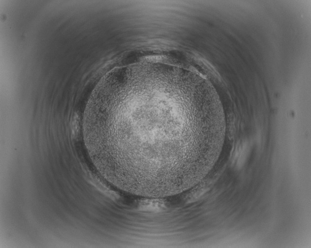 X0000083630077200702121216