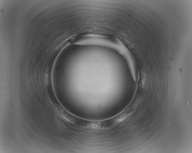 X0000083630080200702121216