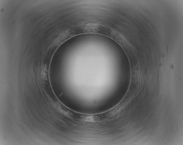 X0000083630083200702121216