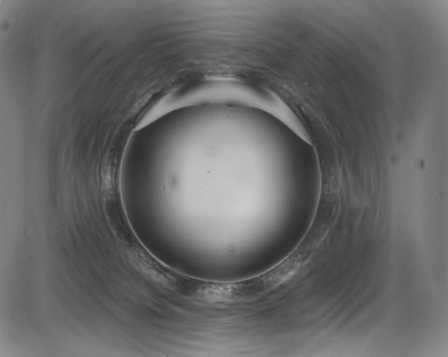 X0000083630084200702121216