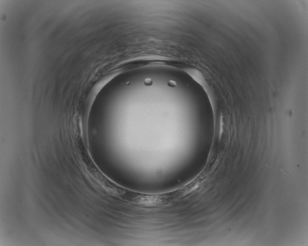 X0000083630088200702121216