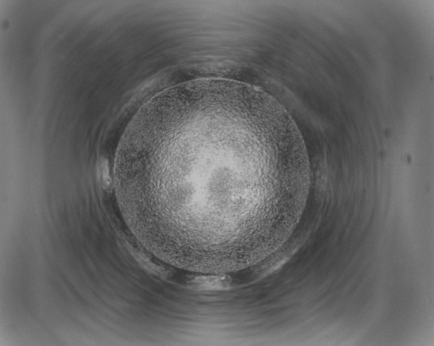 X0000083630089200702121216