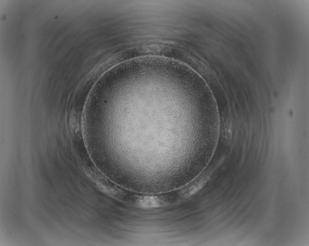 X0000083630091200702121216