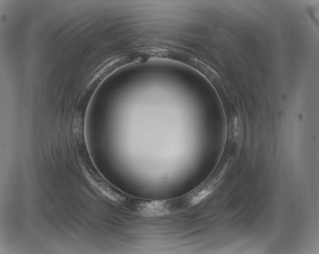 X0000083630092200702121216