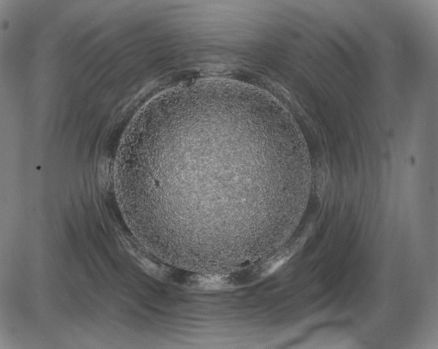 X0000083630093200702121216
