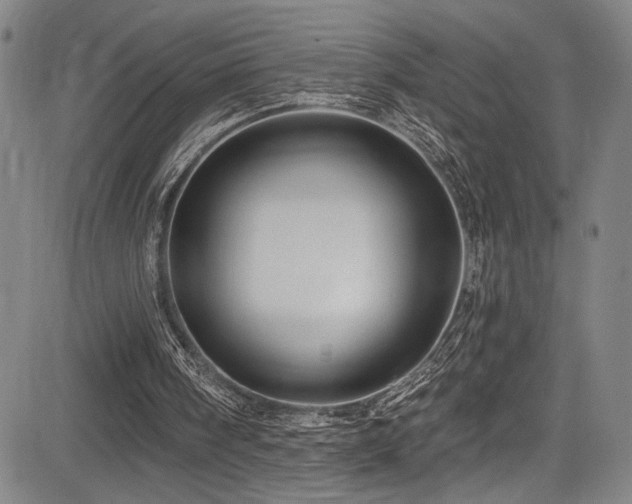 X0000083630098200702121216