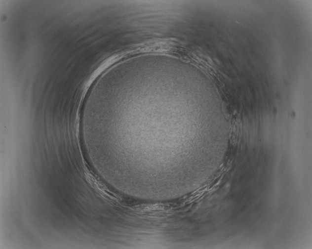 X0000083630100200702121216