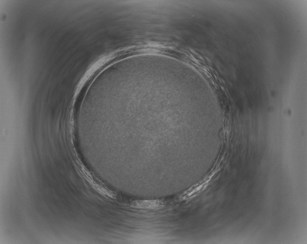 X0000083630102200702121216
