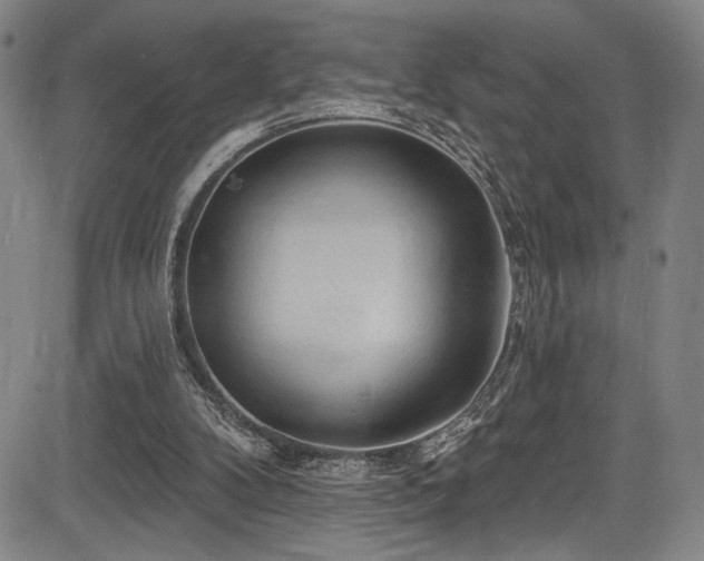 X0000083630104200702121215
