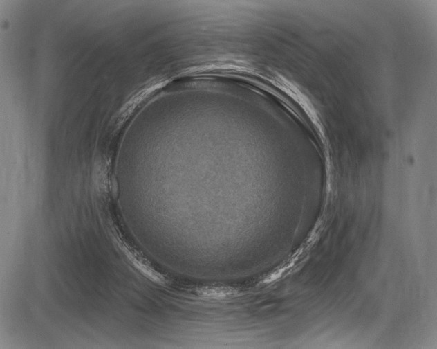 X0000083630105200702121215