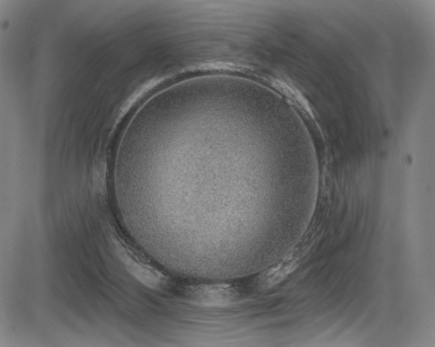 X0000083630108200702121215