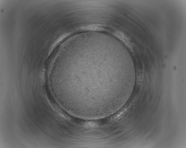 X0000083630111200702121215
