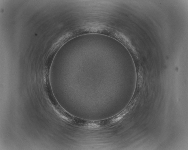 X0000083630114200702121215