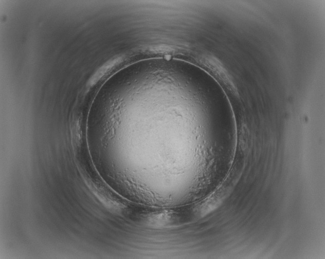 X0000083630116200702121215