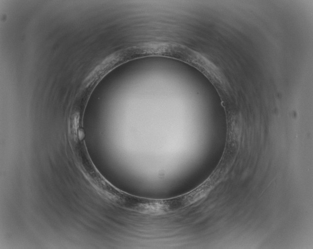 X0000083630118200702121215