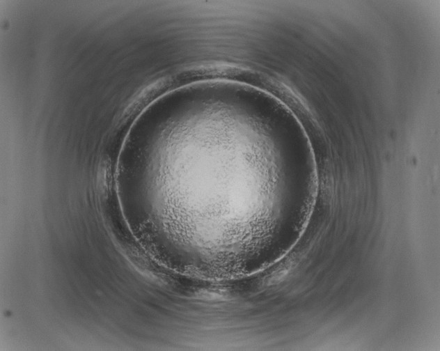 X0000083630119200702121215
