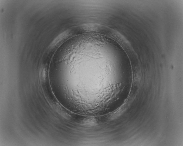 X0000083630124200702121215