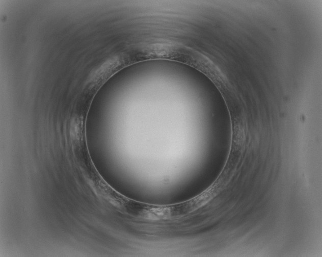 X0000083630126200702121215
