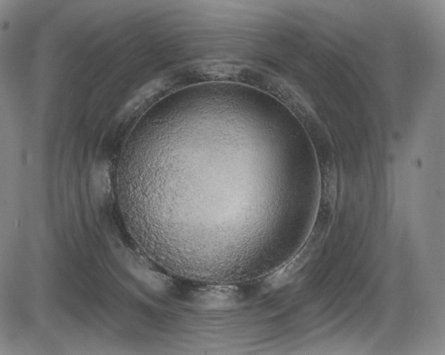 X0000083630128200702121215