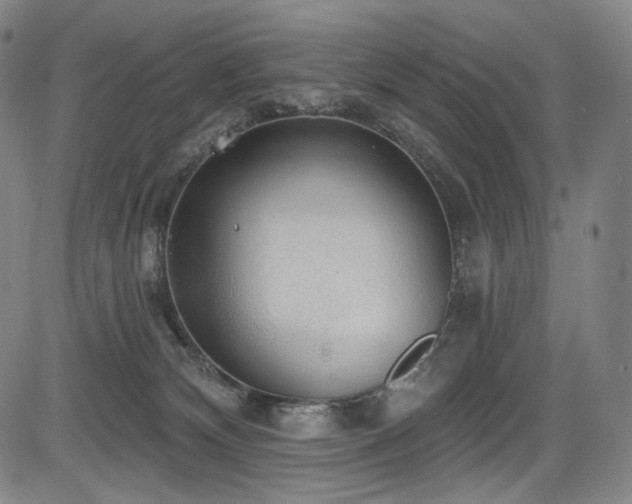 X0000083630132200702121215
