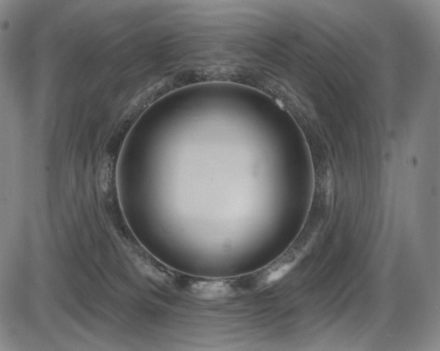 X0000083630133200702121215