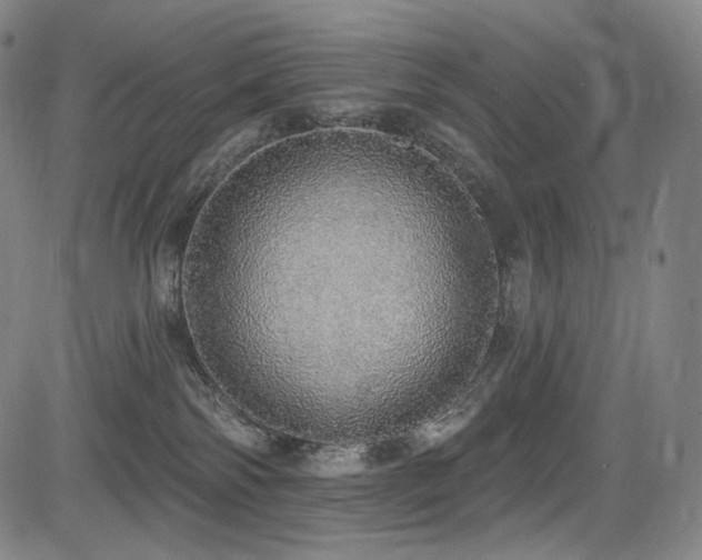 X0000083630138200702121215