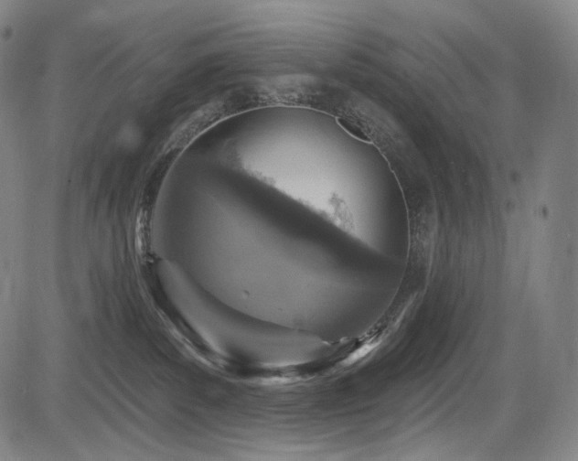 X0000083630139200702121215