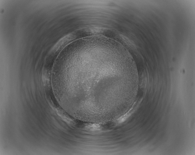 X0000083630140200702121215