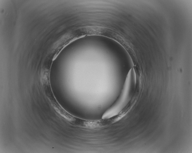 X0000083630141200702121215