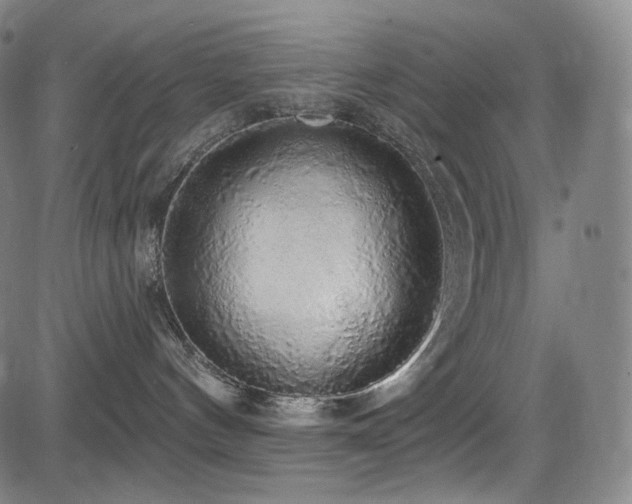 X0000083630144200702121215