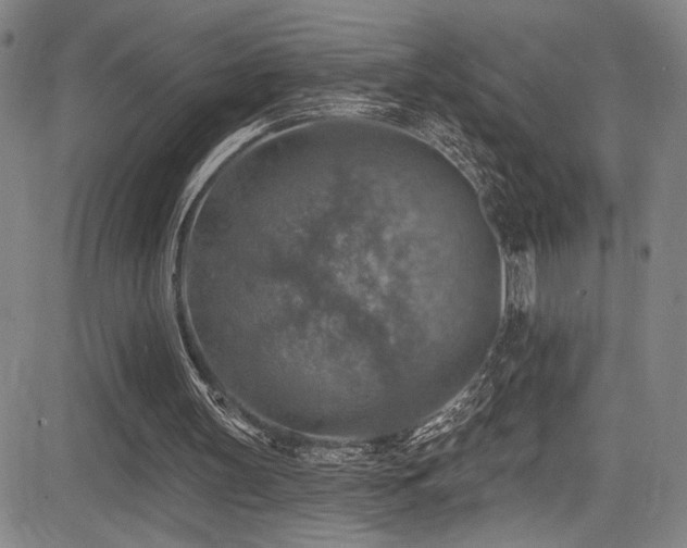 X0000083630147200702121214