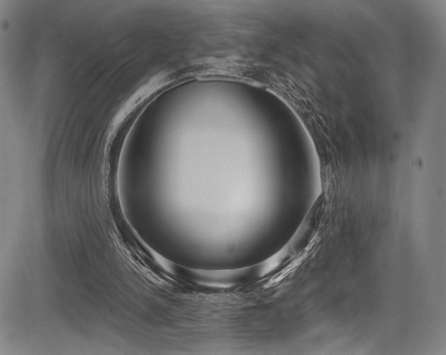 X0000083630150200702121214