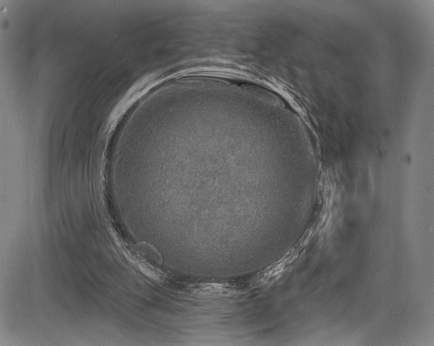 X0000083630151200702121214