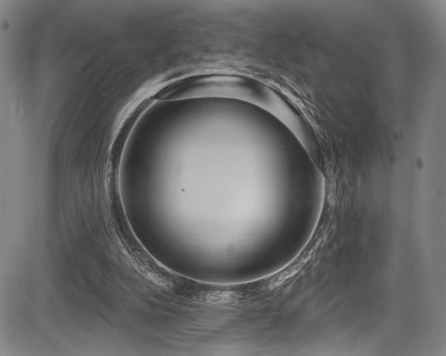 X0000083630152200702121214