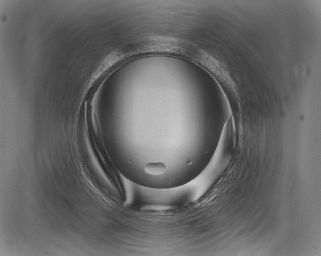 X0000083630156200702121214