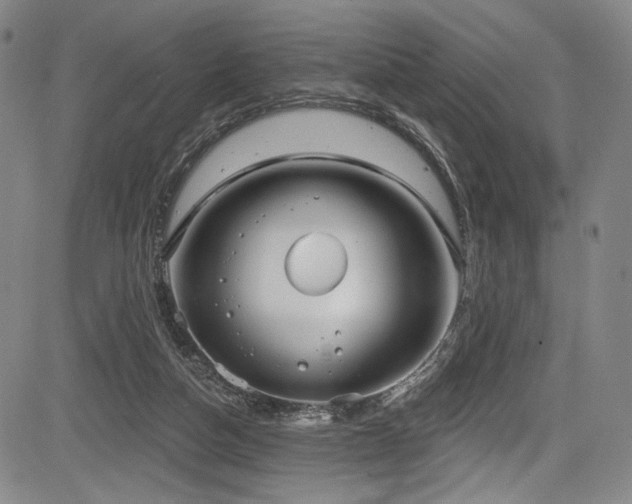X0000083630162200702121214