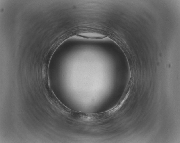 X0000083630174200702121215