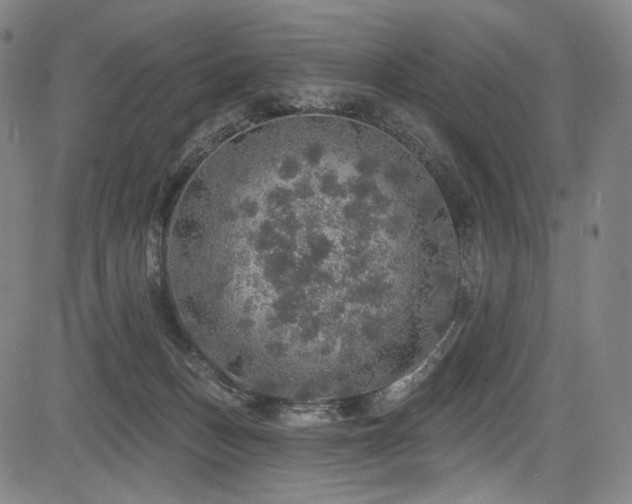 X0000083630175200702121215