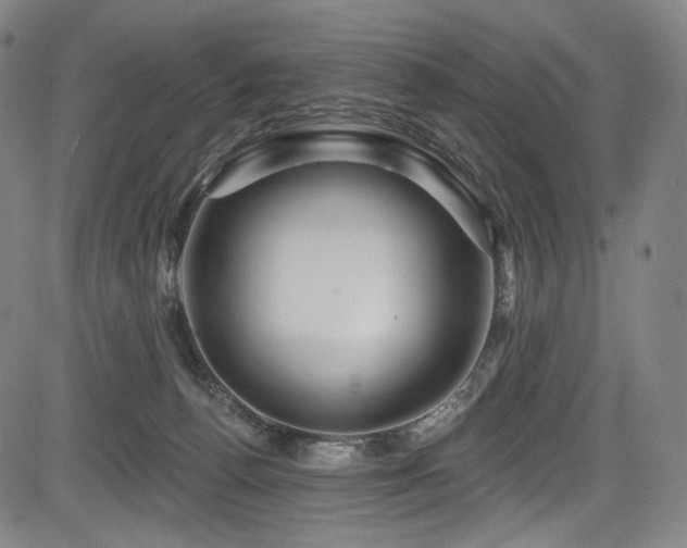 X0000083630176200702121215