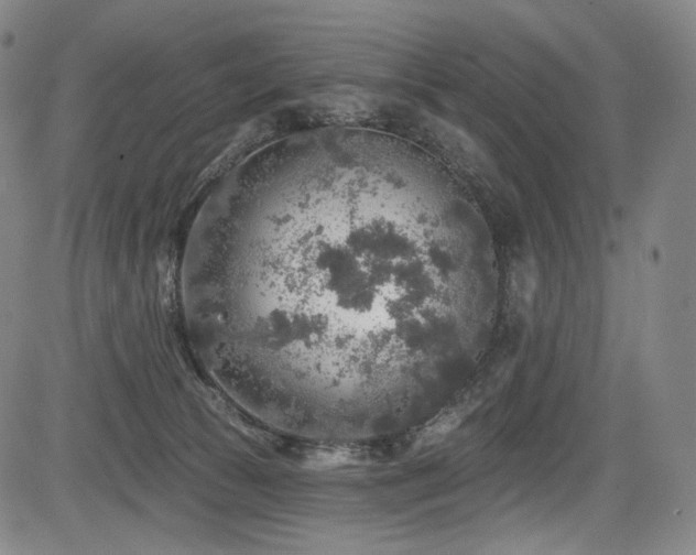 X0000083630177200702121215