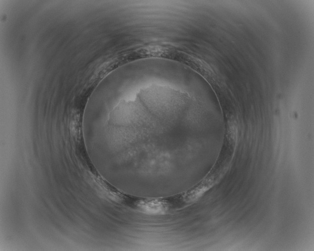 X0000083630181200702121215