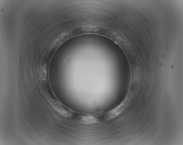 X0000083630183200702121215