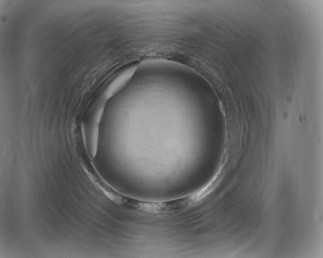 X0000083630192200702121215